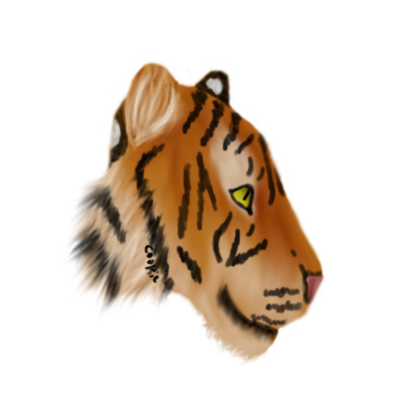 Tiger Realism 2