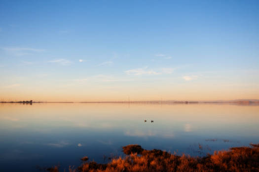 Baylands Park at Sunset