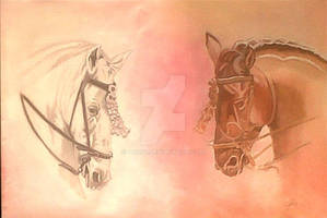 CABALLOS31 o