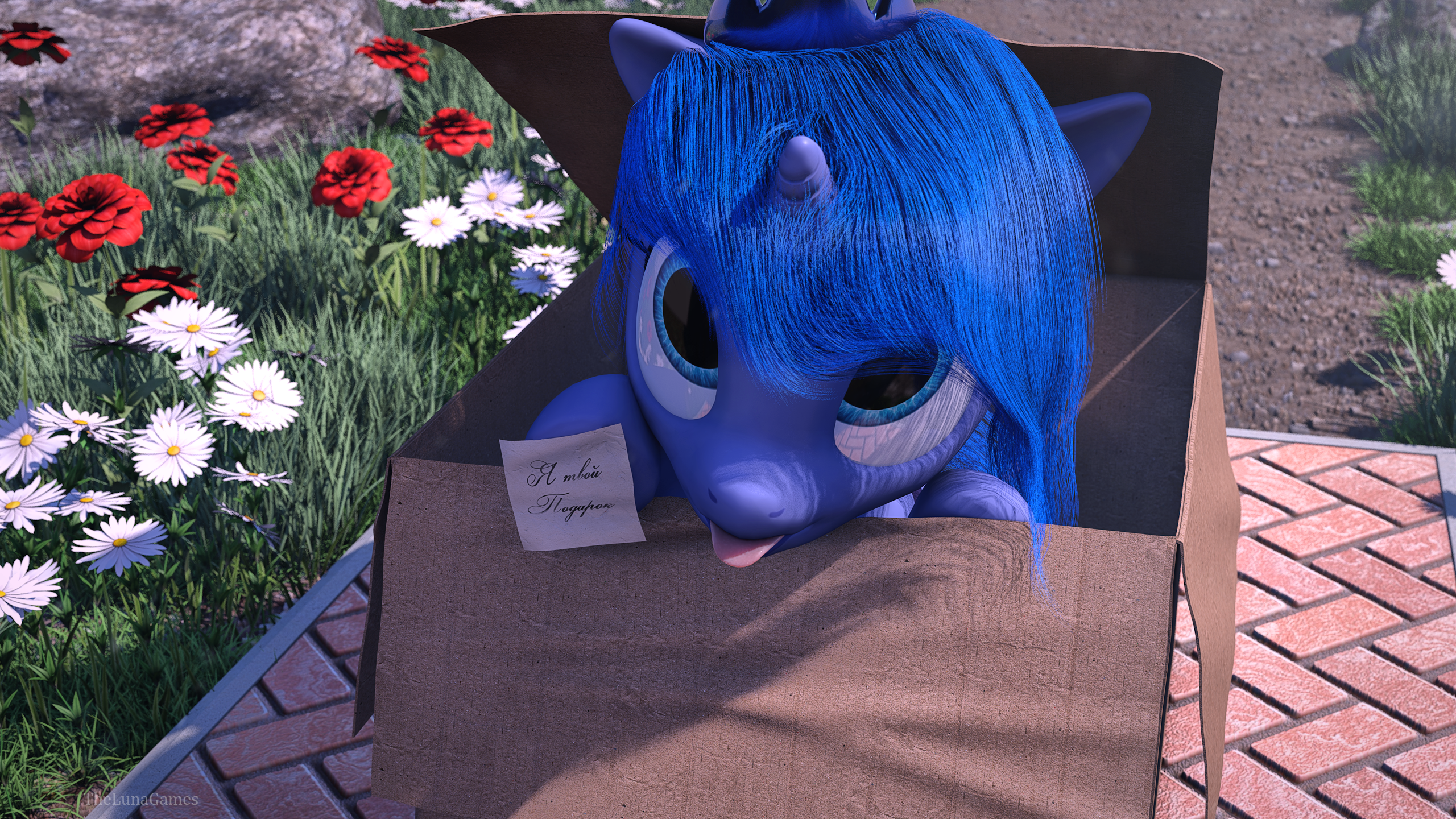 Woona of Cinema4D