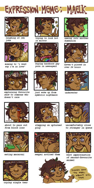 Silly expression meme : Maelk