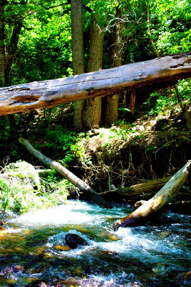 Bump on a River by maddiholt on DeviantArt