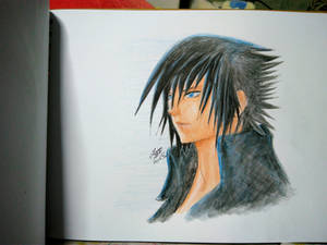 Noctis In Watercolor