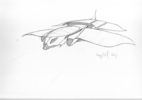 Sea-gull-like  plane