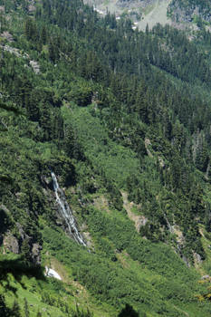 Baker Water Fall