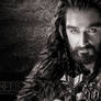 Thorin Oakenshield - The Hobbit Wallpaper 1024x768