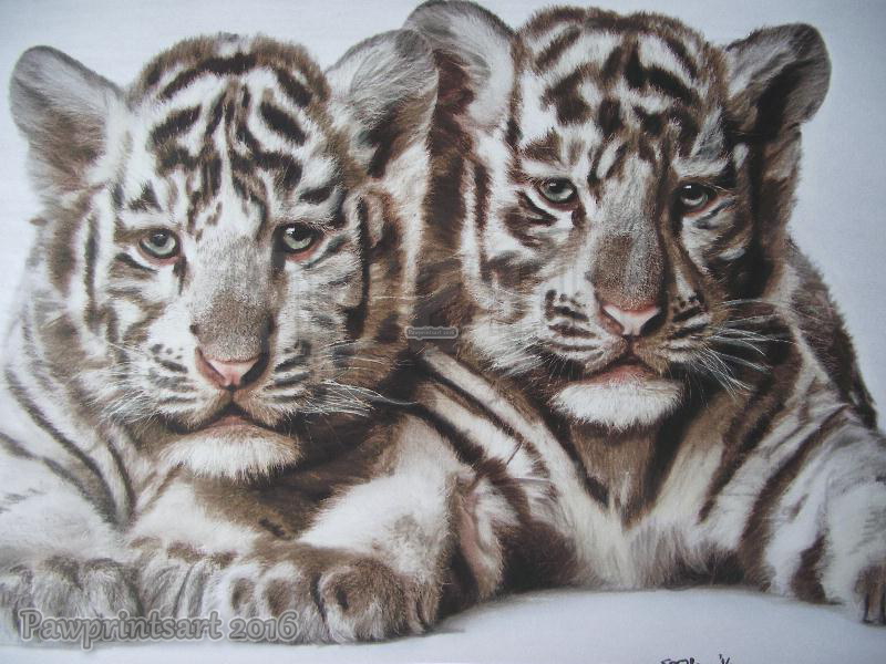 White Tiger Cubs