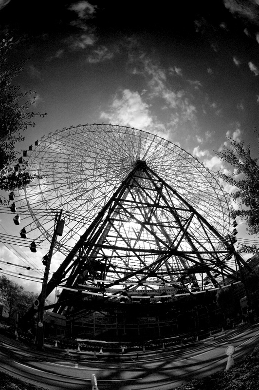 Giant Ferris Wheel