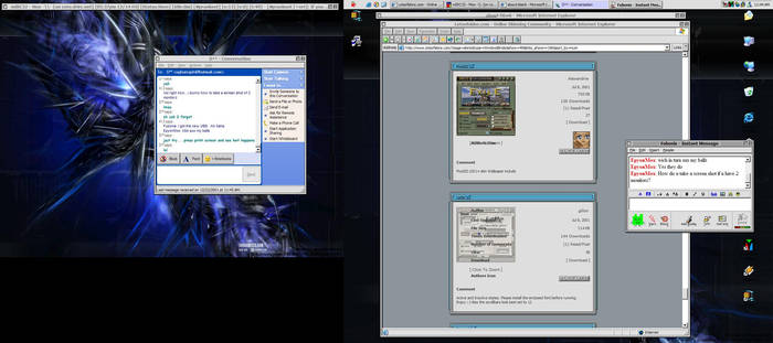 Dual Screen shot