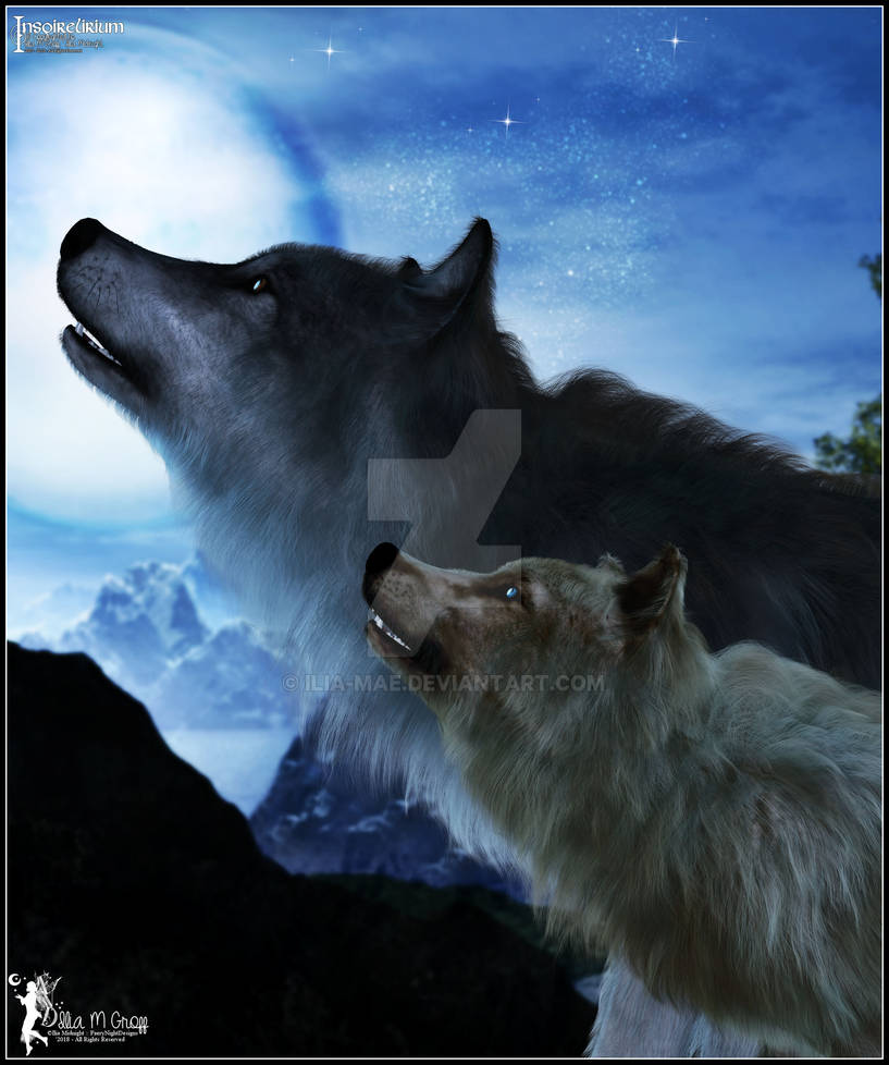 Learning To Howl by Ilia-Mae on DeviantArt