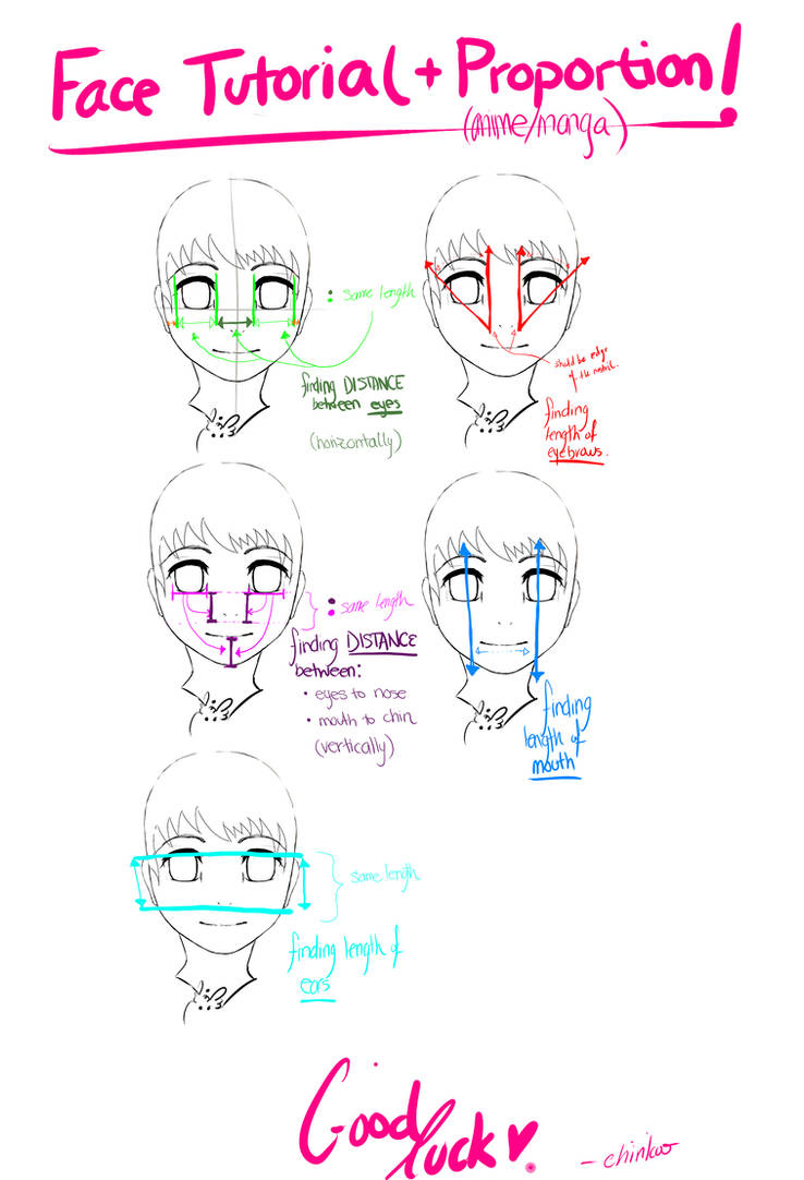 Anime Face Tutorial+Proportion by Chirikoo on DeviantArt
