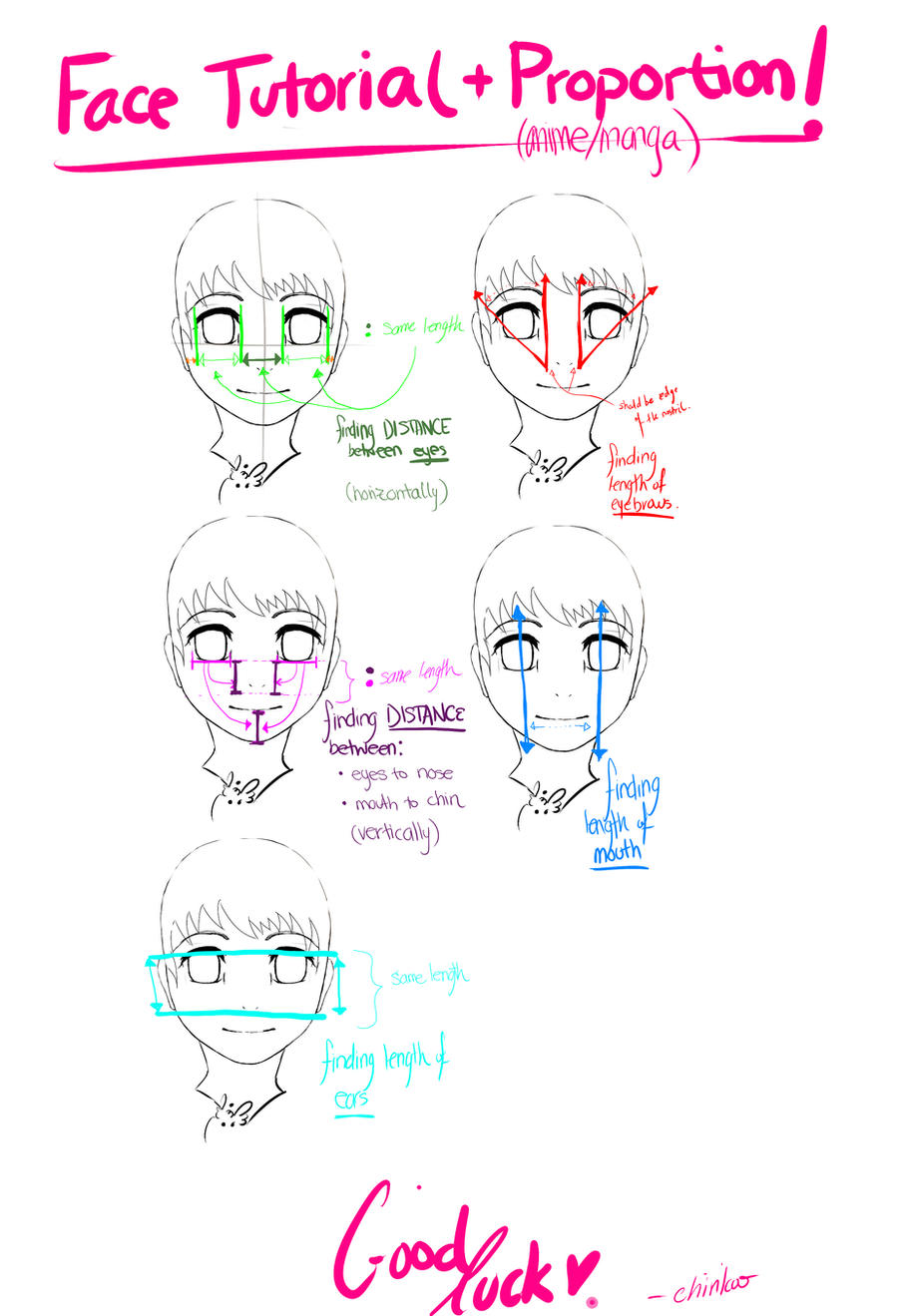 Face Proportion Tutorial Anime Face Tutorial+Proportion by Chirikoo on DeviantArt