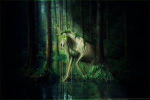 HEE Swamp collab