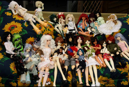 doll-meet group