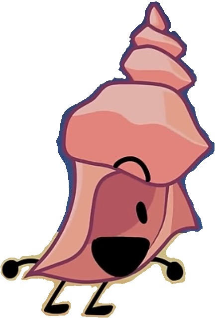 Conch Shell vector #3 by NicoHamm2020 on DeviantArt
