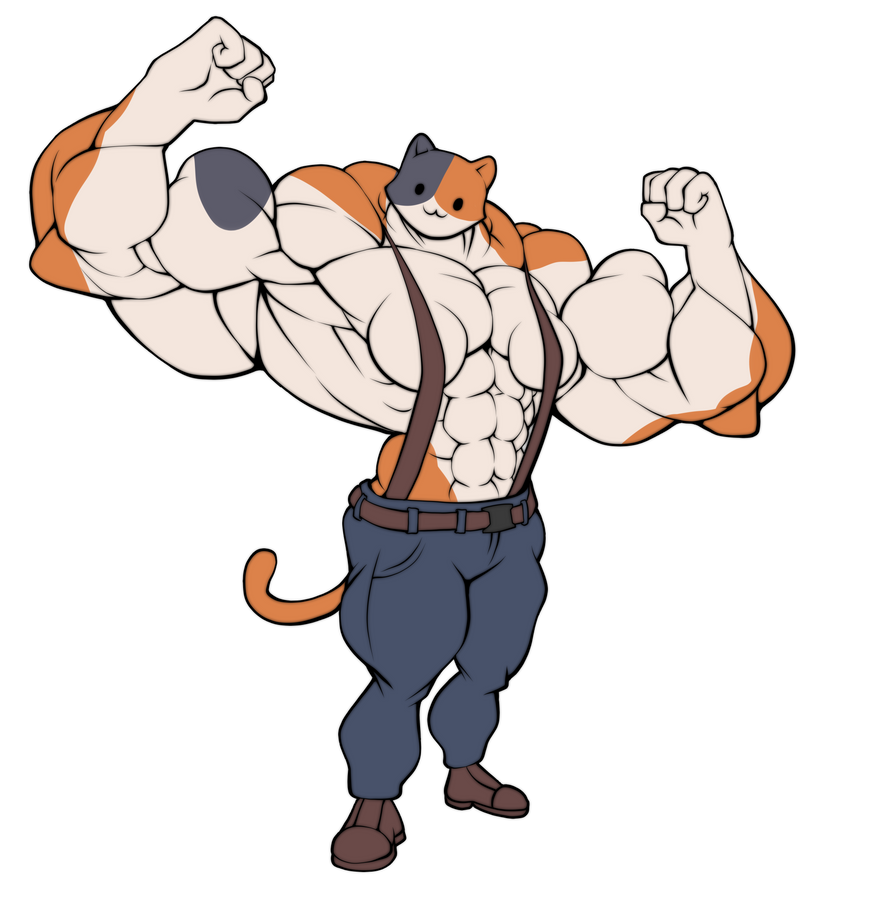 Meowscles by RadarLov3r on DeviantArt