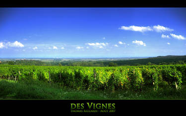 des Vignes