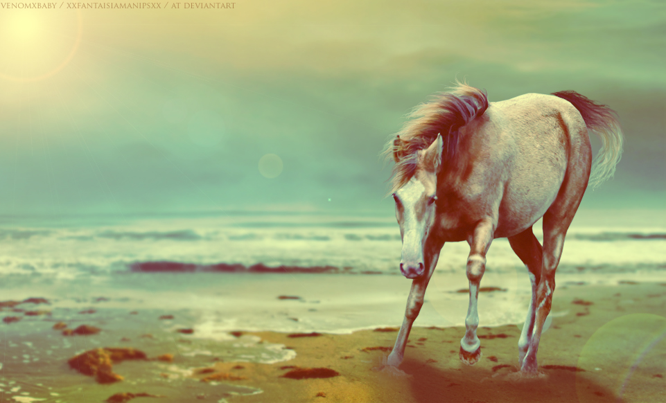 Baby on Beach