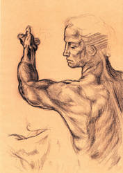 Study for the Libyan Sibyl