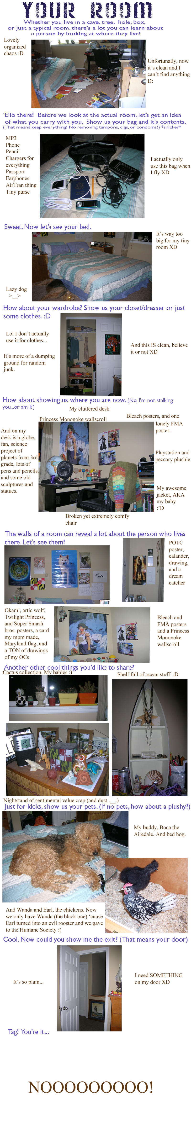 Room Layout Meme Room Meme by Sabacat13 on DeviantArt