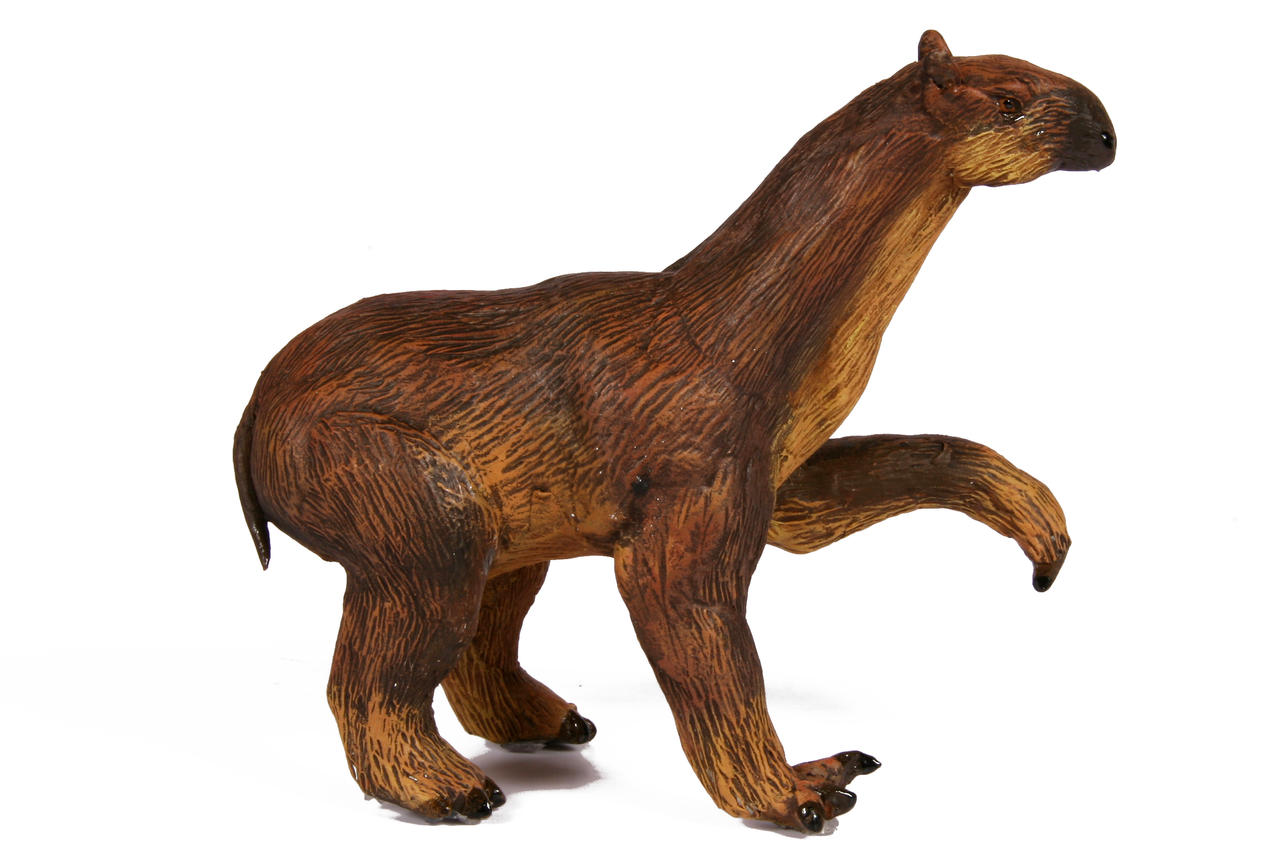 Moropus Moropus by MuseografoClamont on DeviantArt