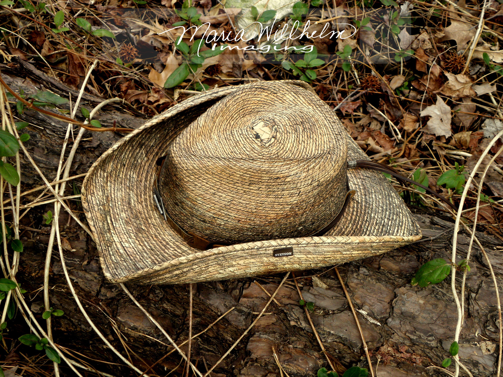 Traveling Stetson 3