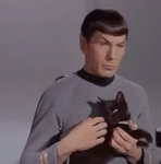 Spock's Cat by vintageseatcushions