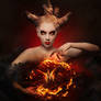 butterfire witch