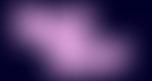 Swell sheep story adaptation