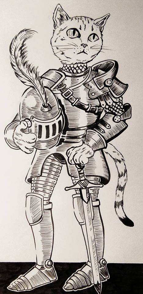 cat knight