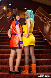 Chi-Chi and Bulma