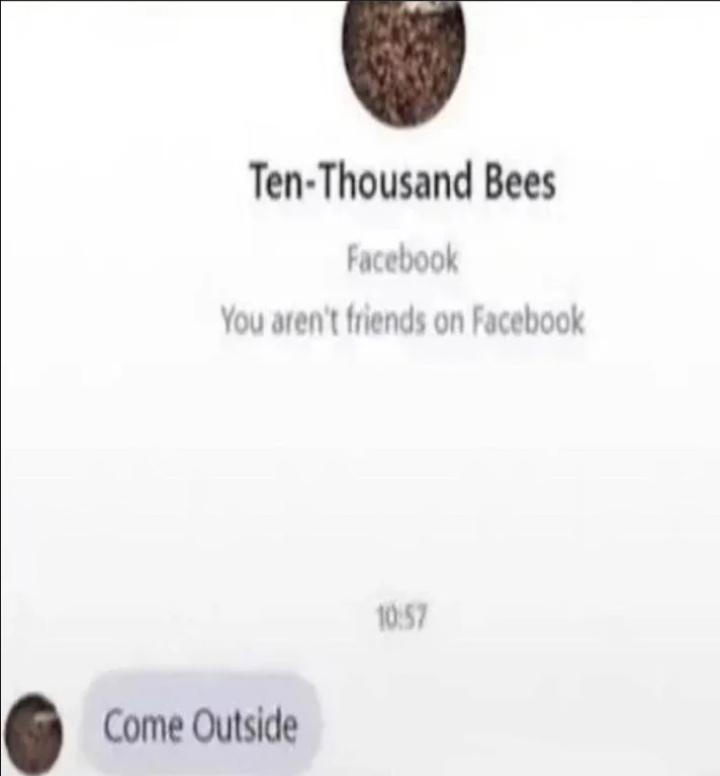 Ten Thousand Bees by Skibidi-Rizz-Gyatt on DeviantArt