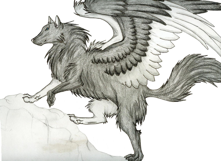 Крылатых голосов. Крылатый волк. Крылатый волк карандашом. Рисунки крылатых. Славянские крылатые волки.