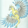 Blue winged Mountain Dragon