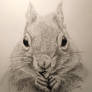 Chipmunk