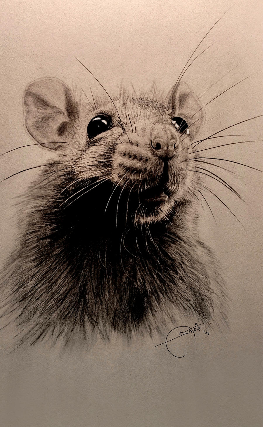 Rat Deviantart Rat by AntonioCremades on DeviantArt