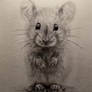 Field mouse