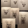 Field mouse drawing steps