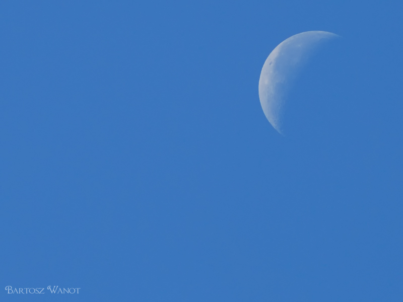 Morning moon