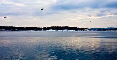 View from the Pier: Aker Brygge