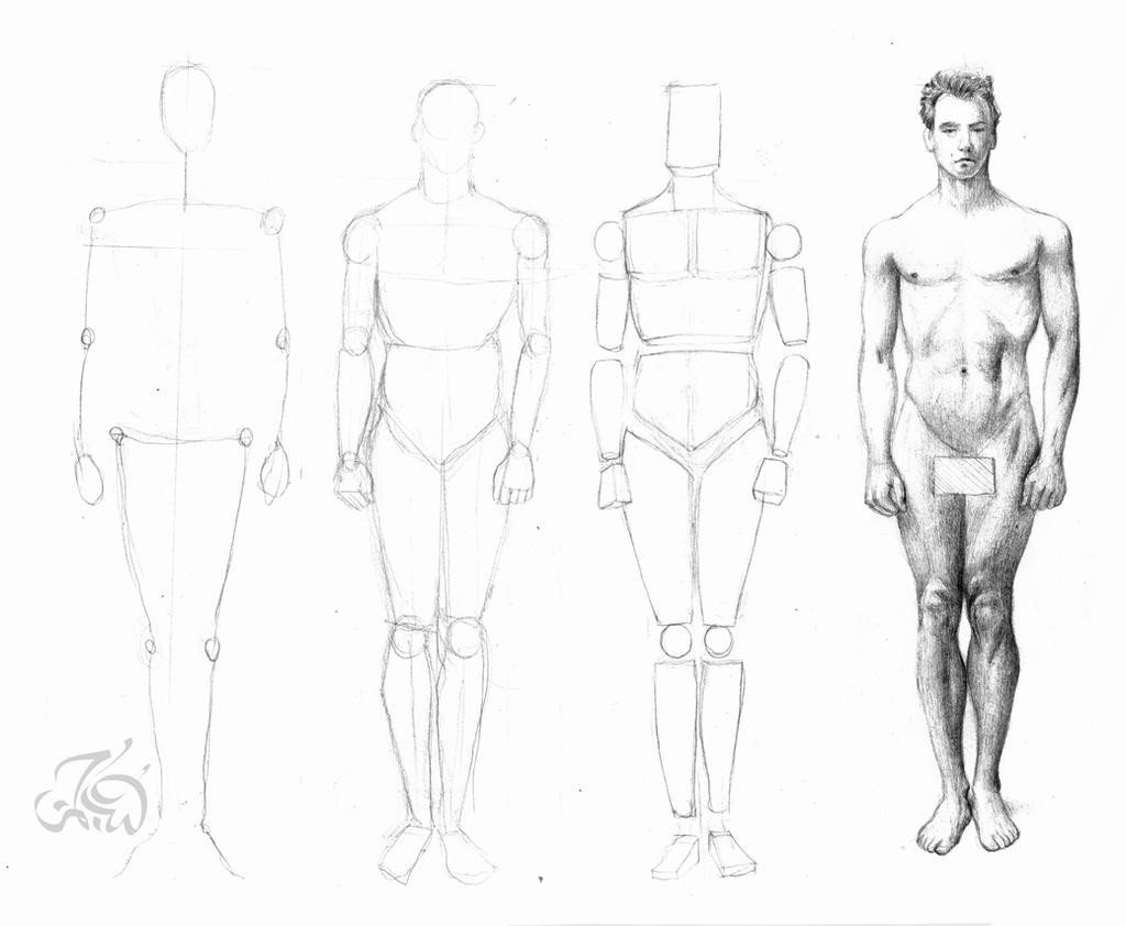 Male Drawing Tutorial How to draw male figure by booode on DeviantArt