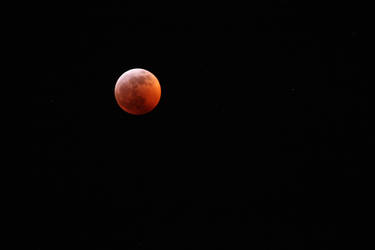 Blood Moon