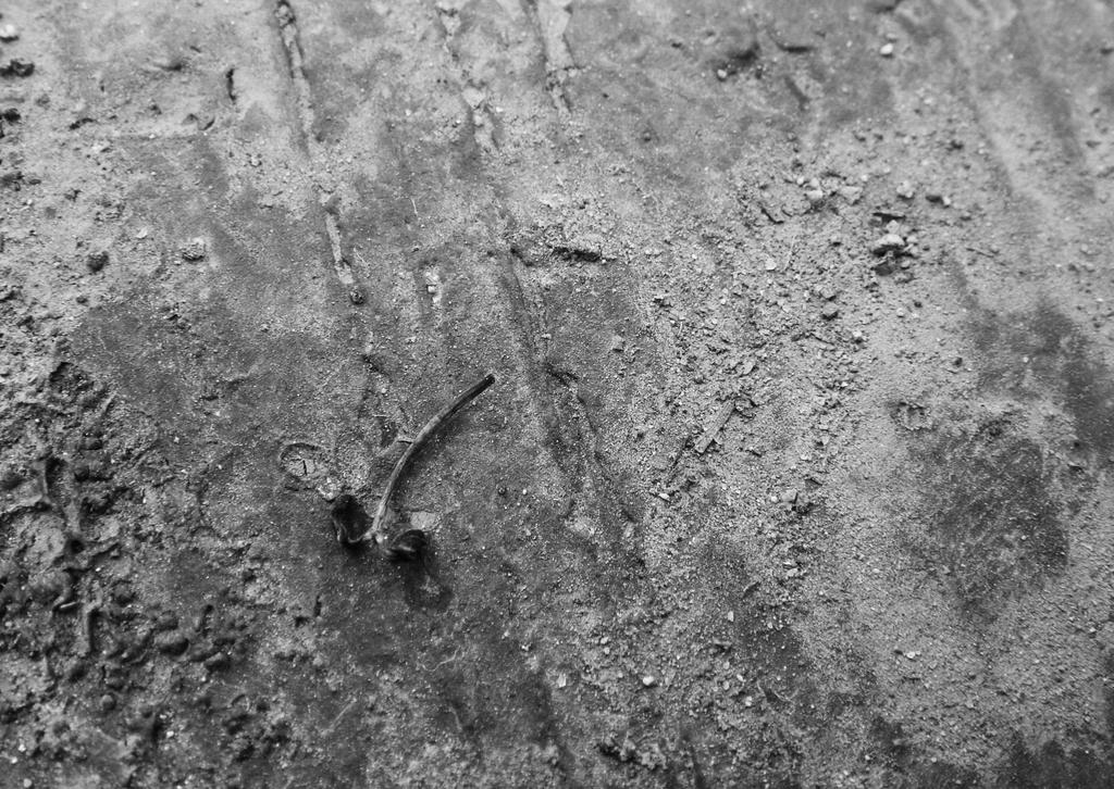 Unusual Patterns 1 by CatfishOverlord on DeviantArt