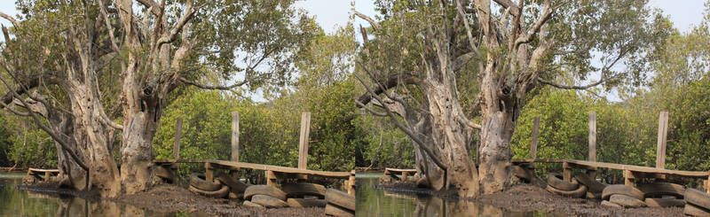 Tyres and tree (cross-eye 3D stereogram)