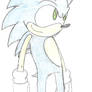 Sonic