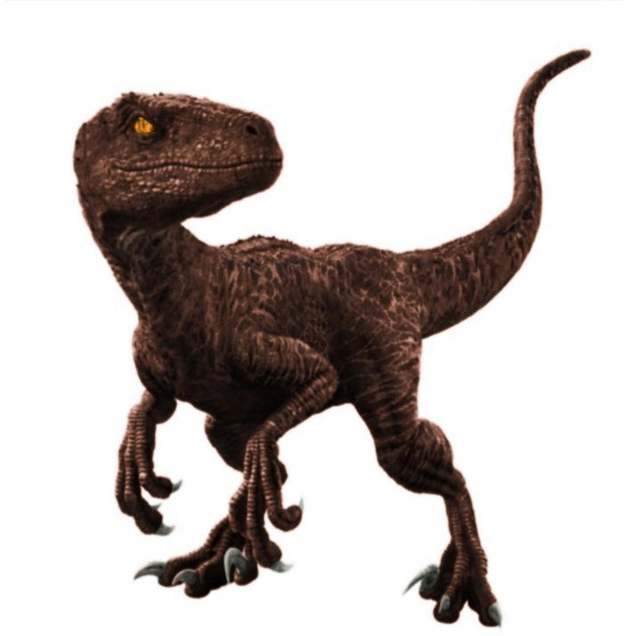 Big One Raptor The Big one by psittacosaurus on DeviantArt