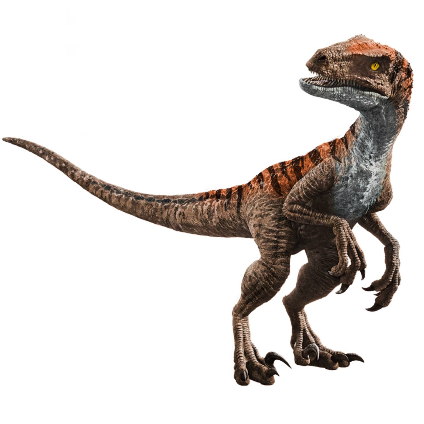 Mattel Camp Cretaceous Echo By Psittacosaurus On Deviantart 