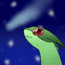 Flygon Star Gazing