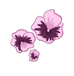 Pansy Pattern