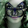 Butterfly Monarch